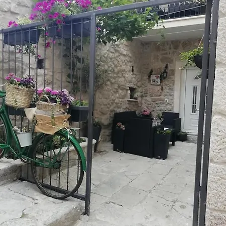 Teta Jadre Макарска