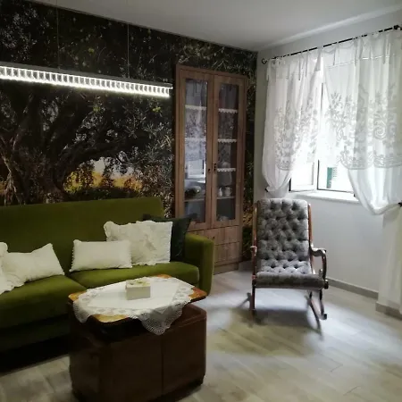 Teta Jadre Μακάρσκα